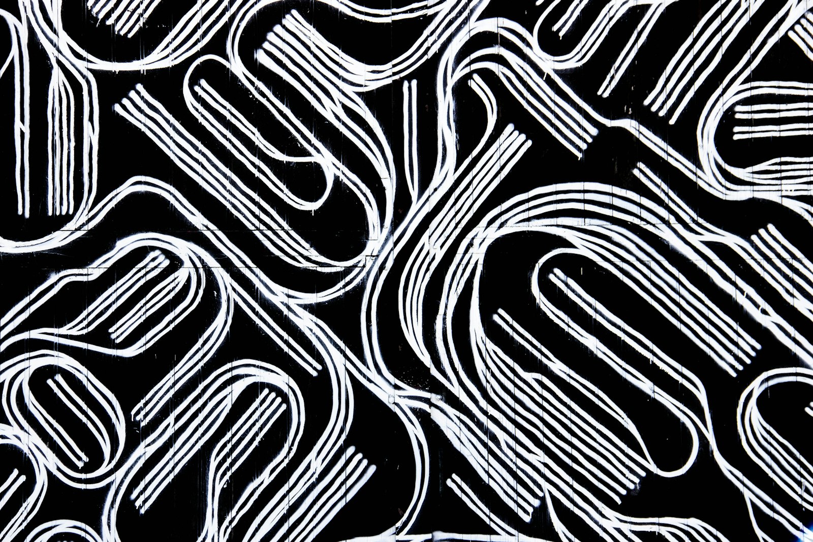 Animated line design