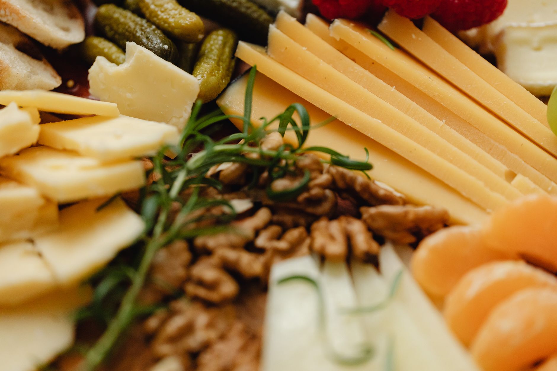 Appetizing food close up