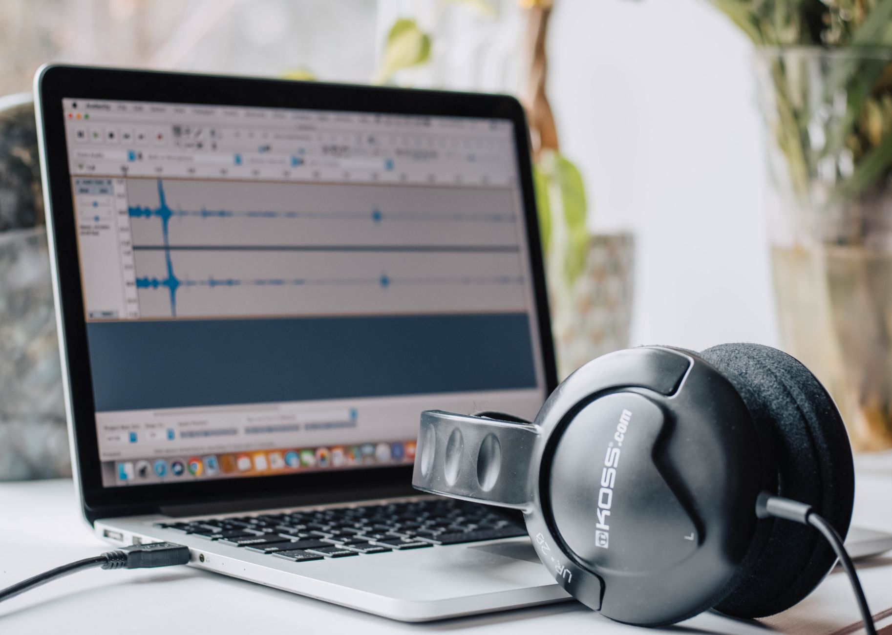 Audio waveform editing software