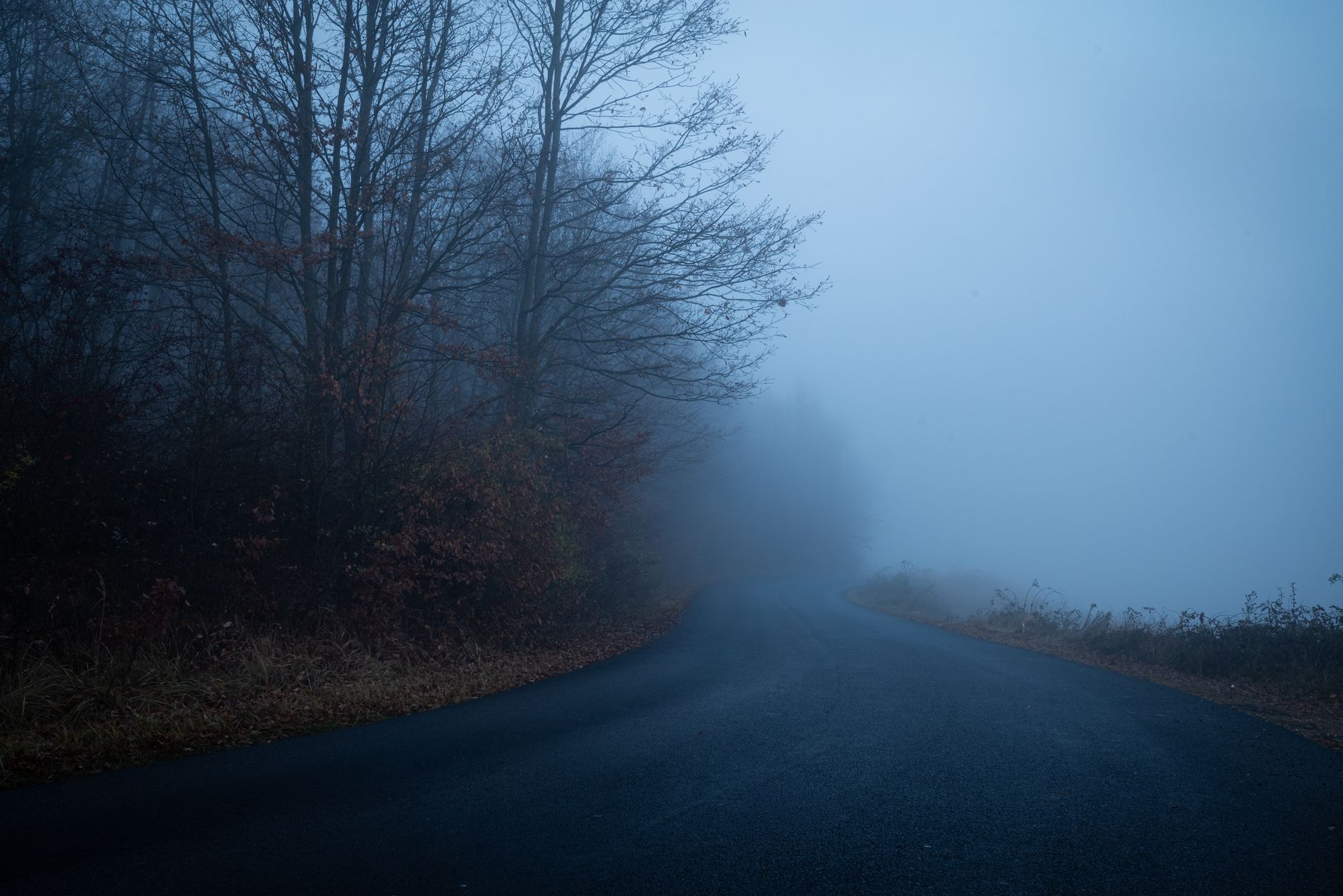 Cinematic color landscape moody