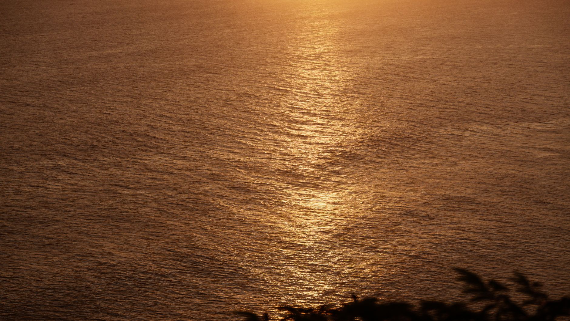 Cinematic travel landscape golden