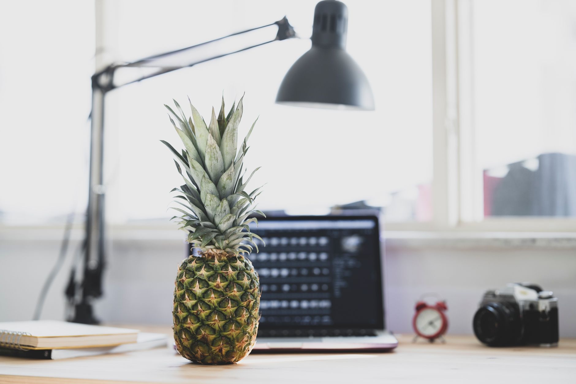 Creative laptop workspace bright