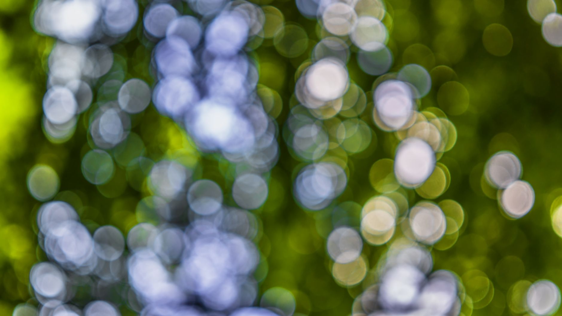 Defocused background blur
