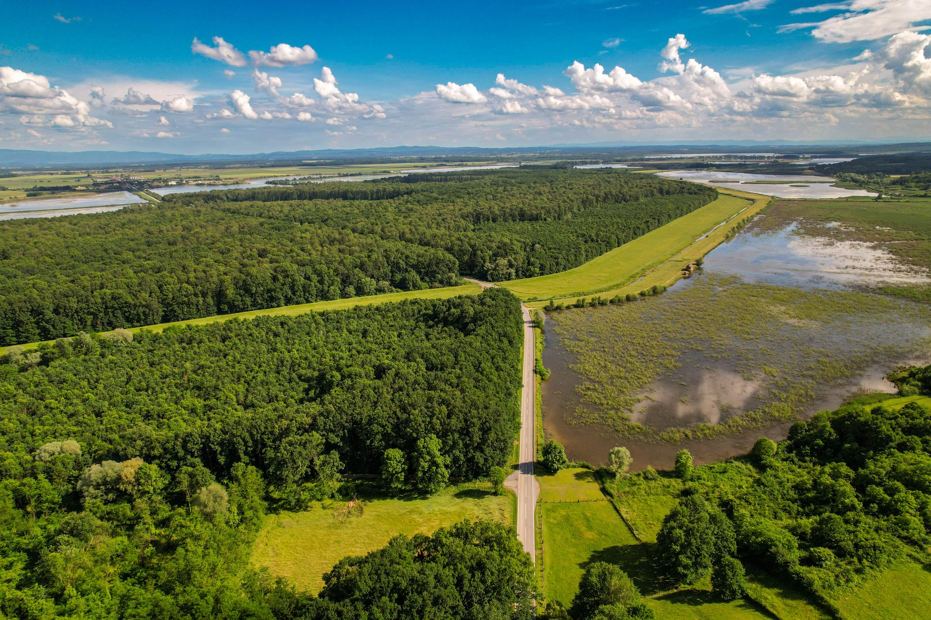 Drone aerial view landscape