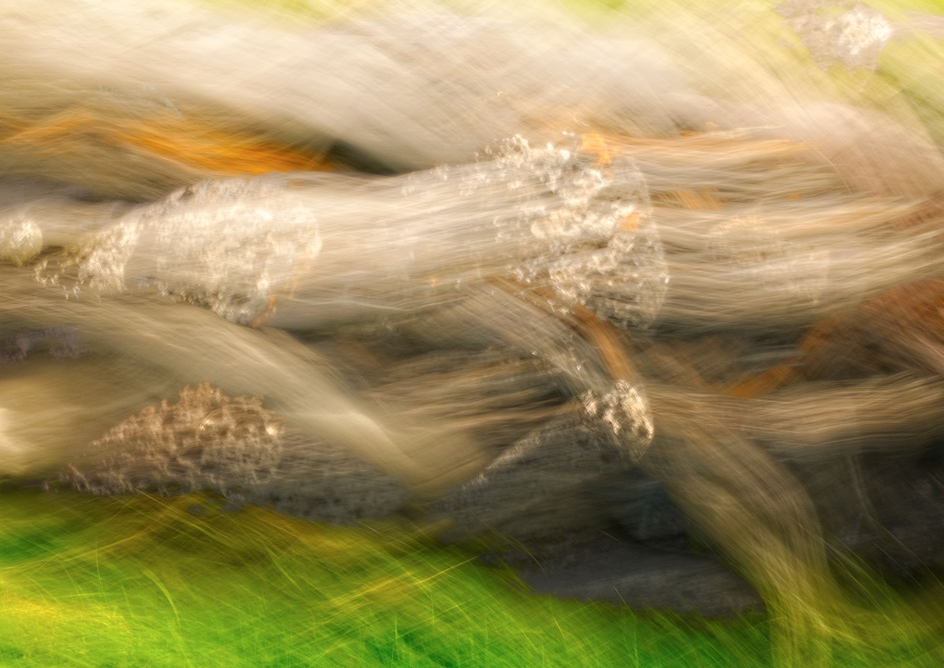 Dynamic movement blur