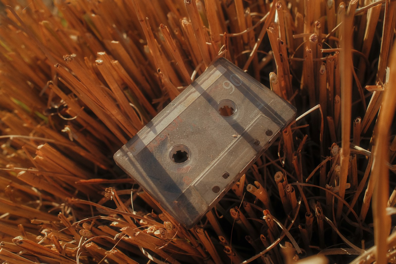 Field audio recording outdoor