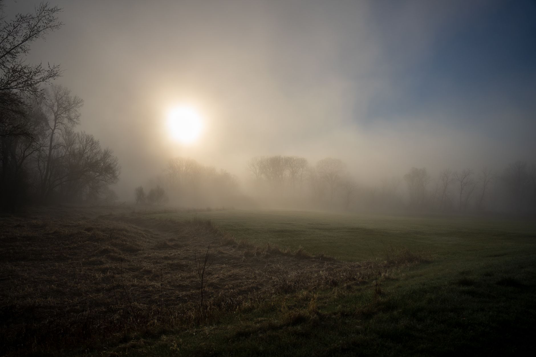 Foggy atmospheric scene