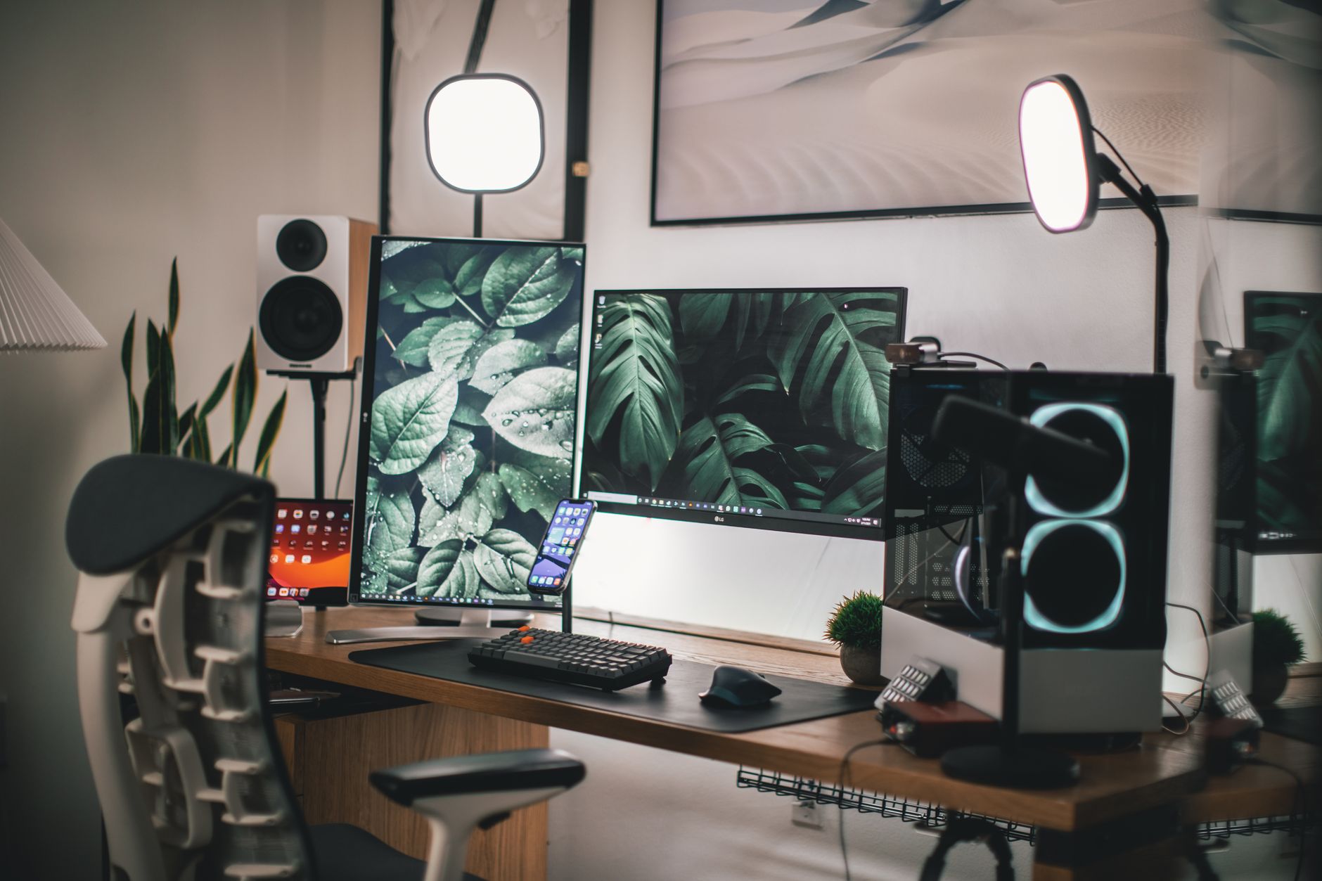 Gamer streaming setup