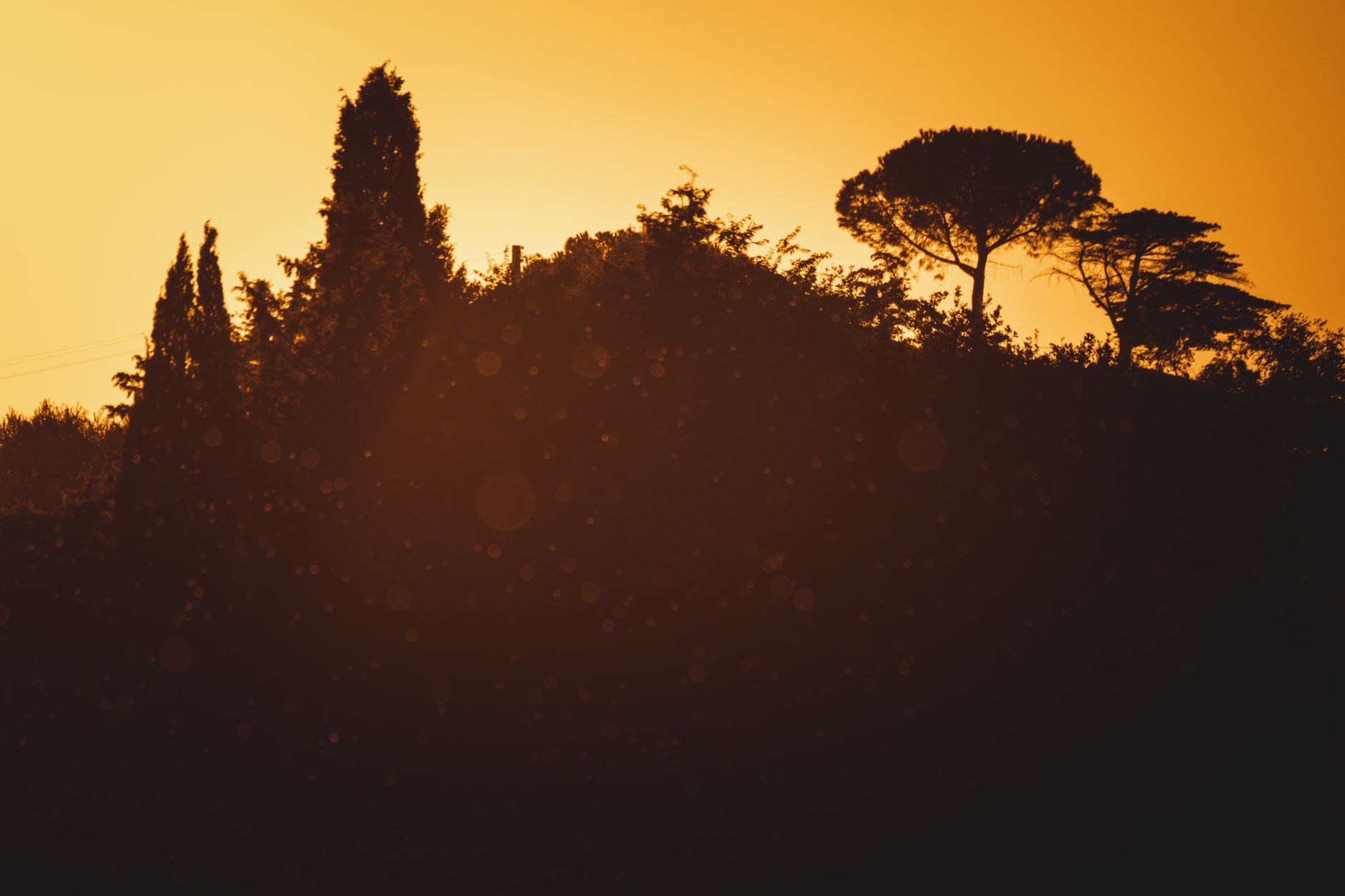 Golden hour landscape glow
