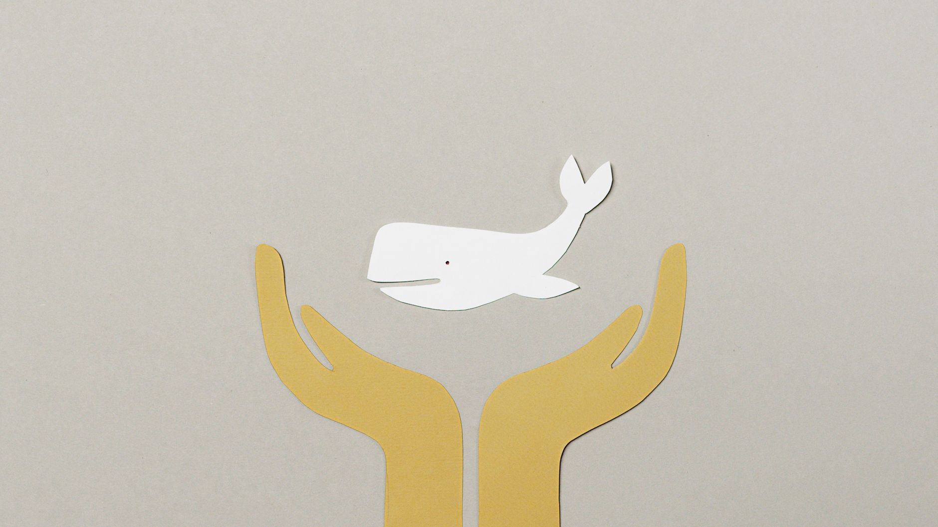 Handmade animation craft