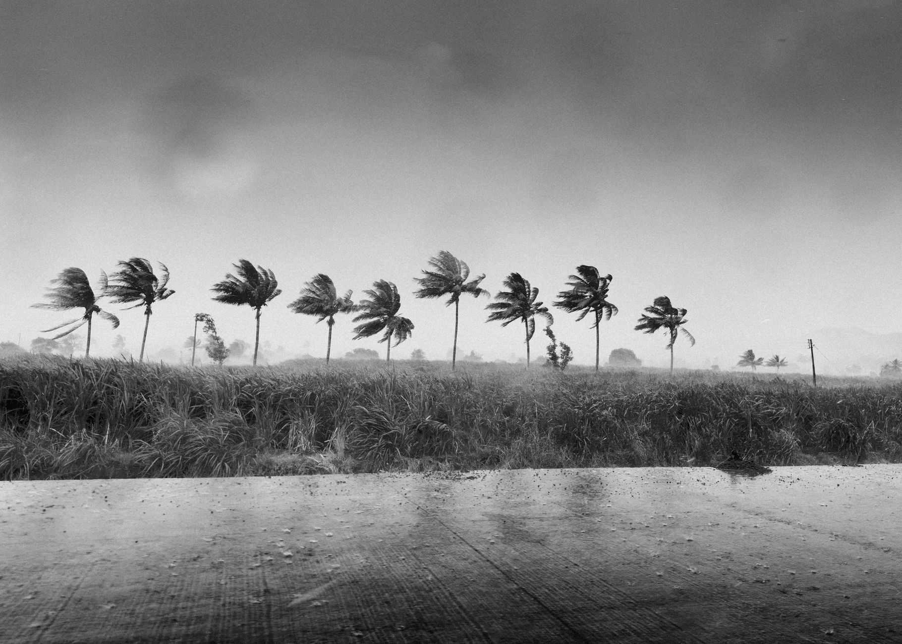 Heavy rain dramatic scene