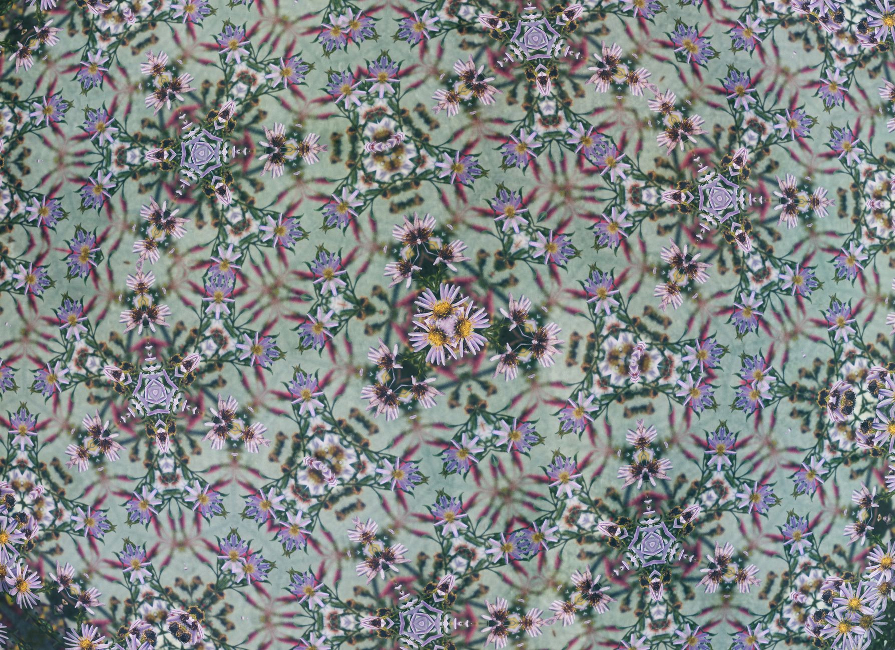 Kaleidoscope pattern colorful symmetry