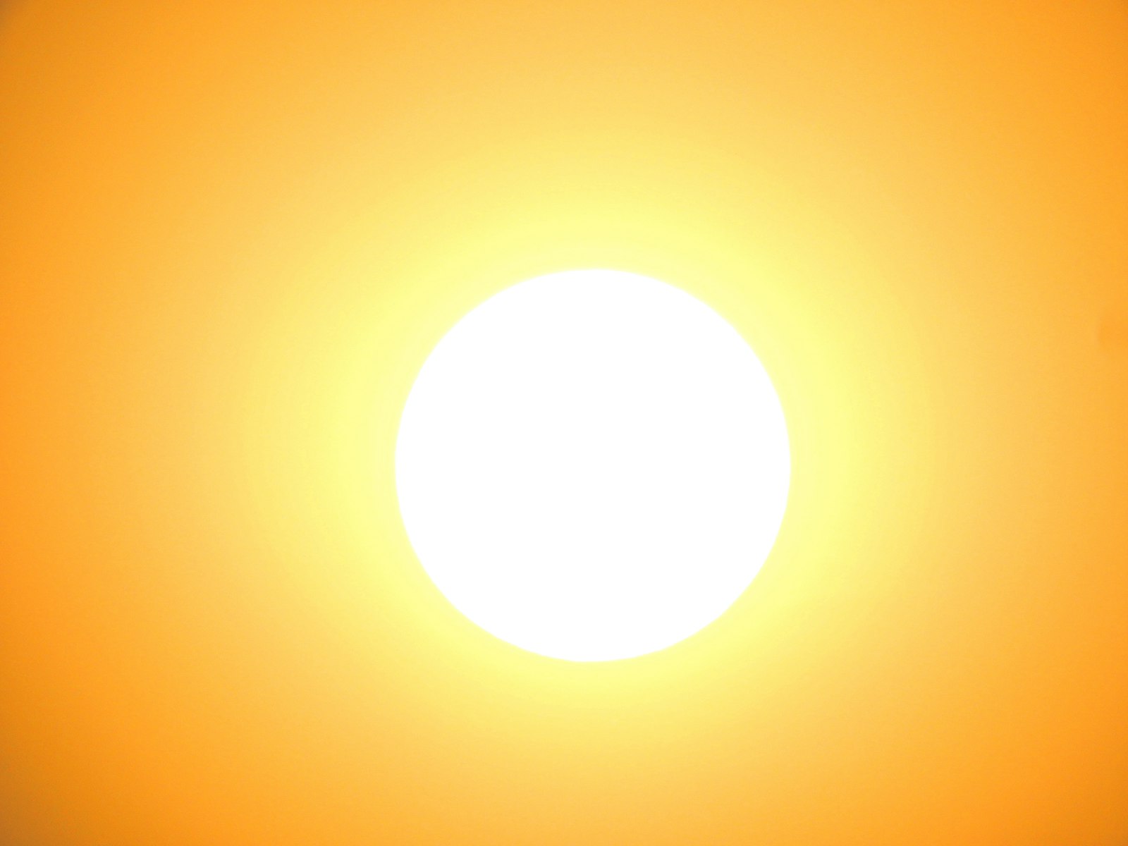 Lens flare sun light