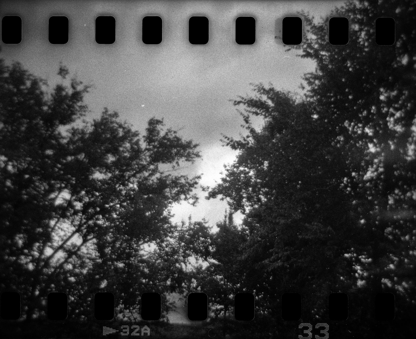 Moody film photography