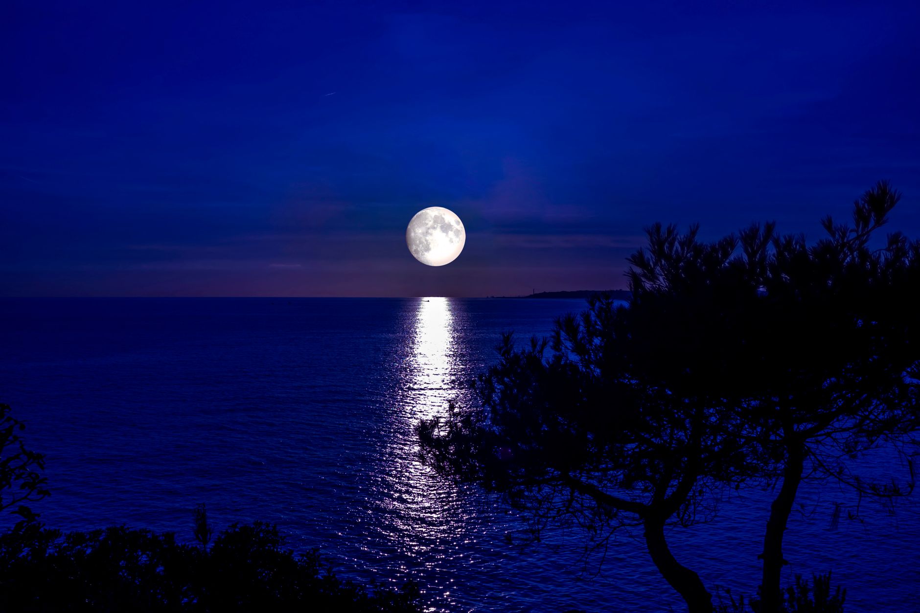 Moonlit night blue scene