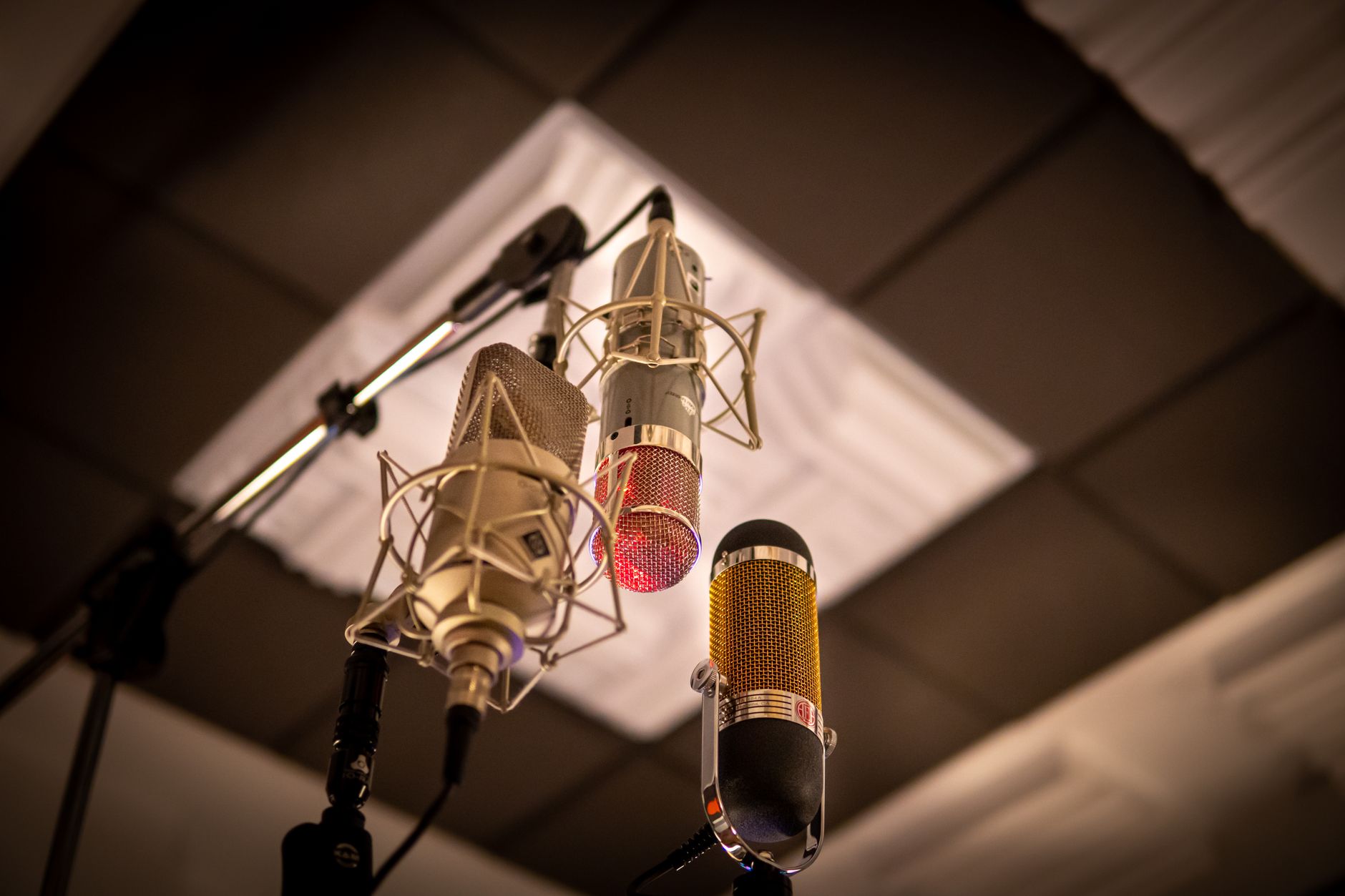 Professional microphone studio