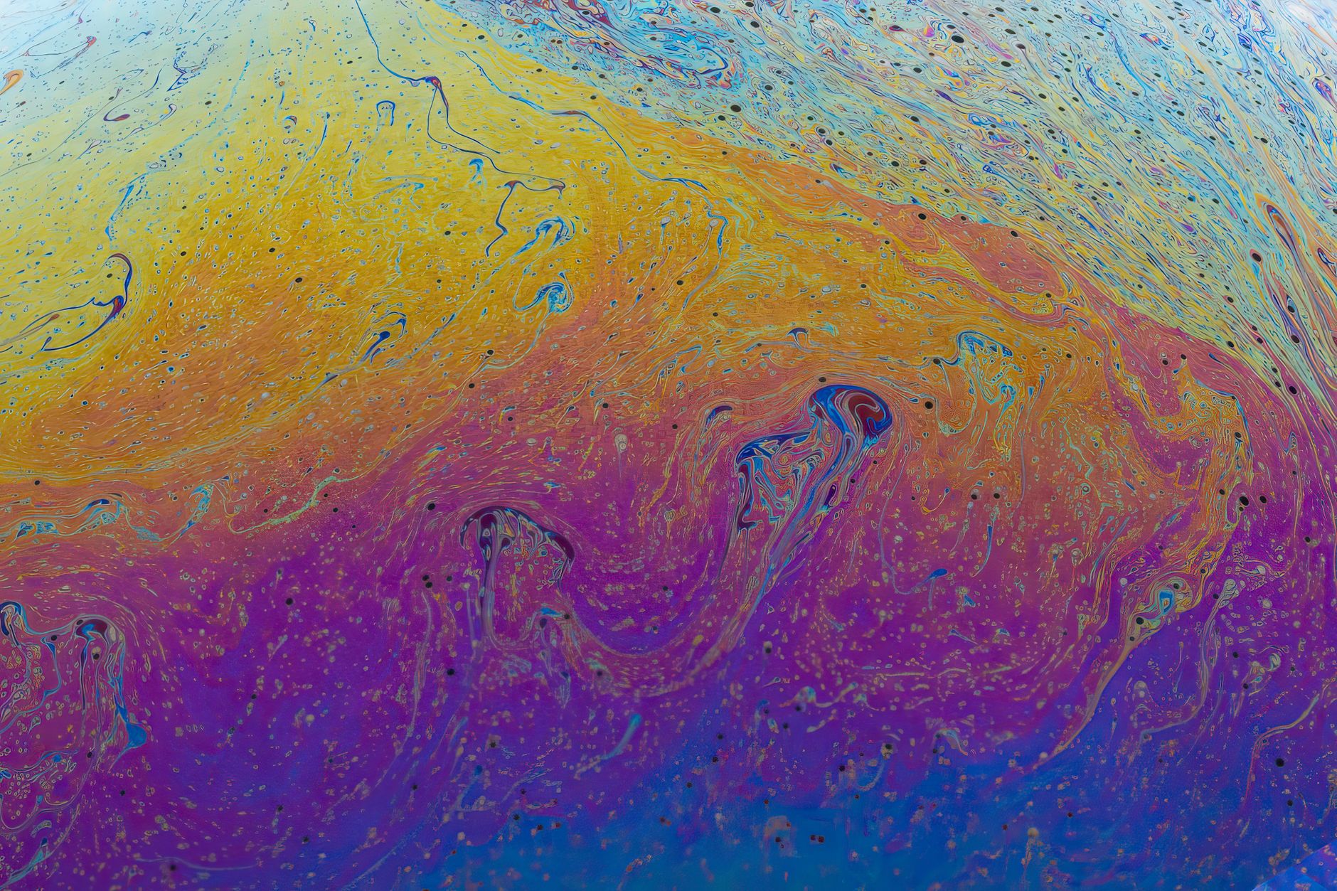 Psychedelic color abstract