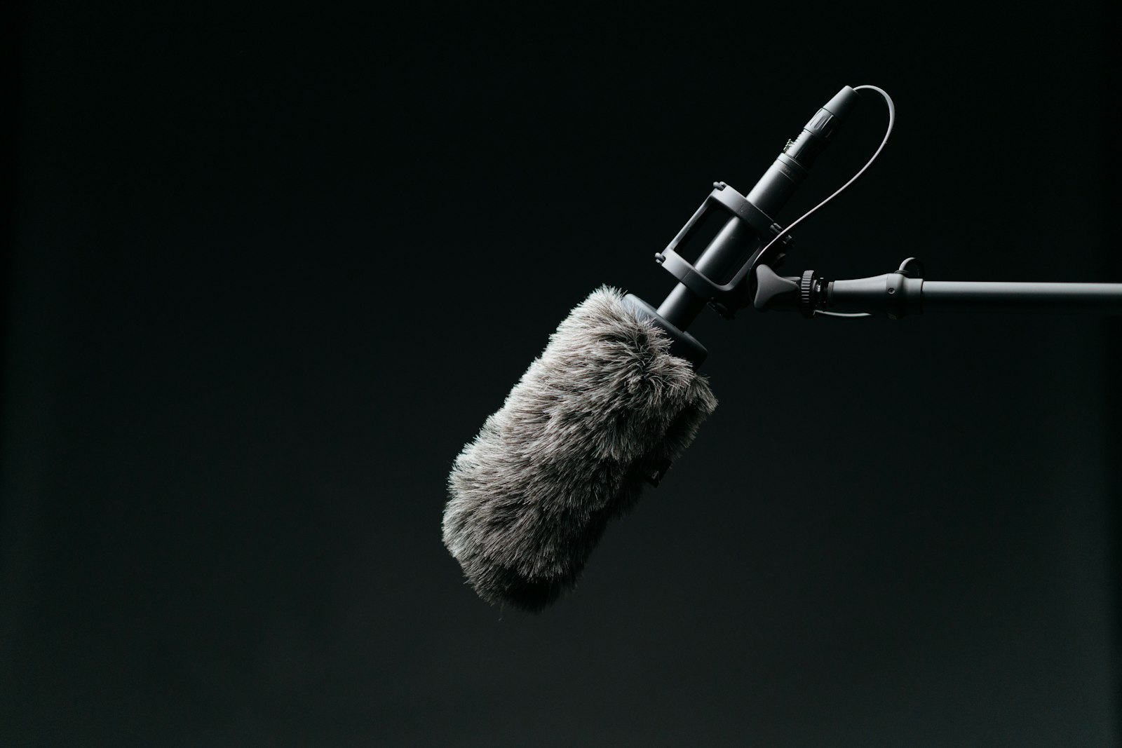 Shotgun microphone professional