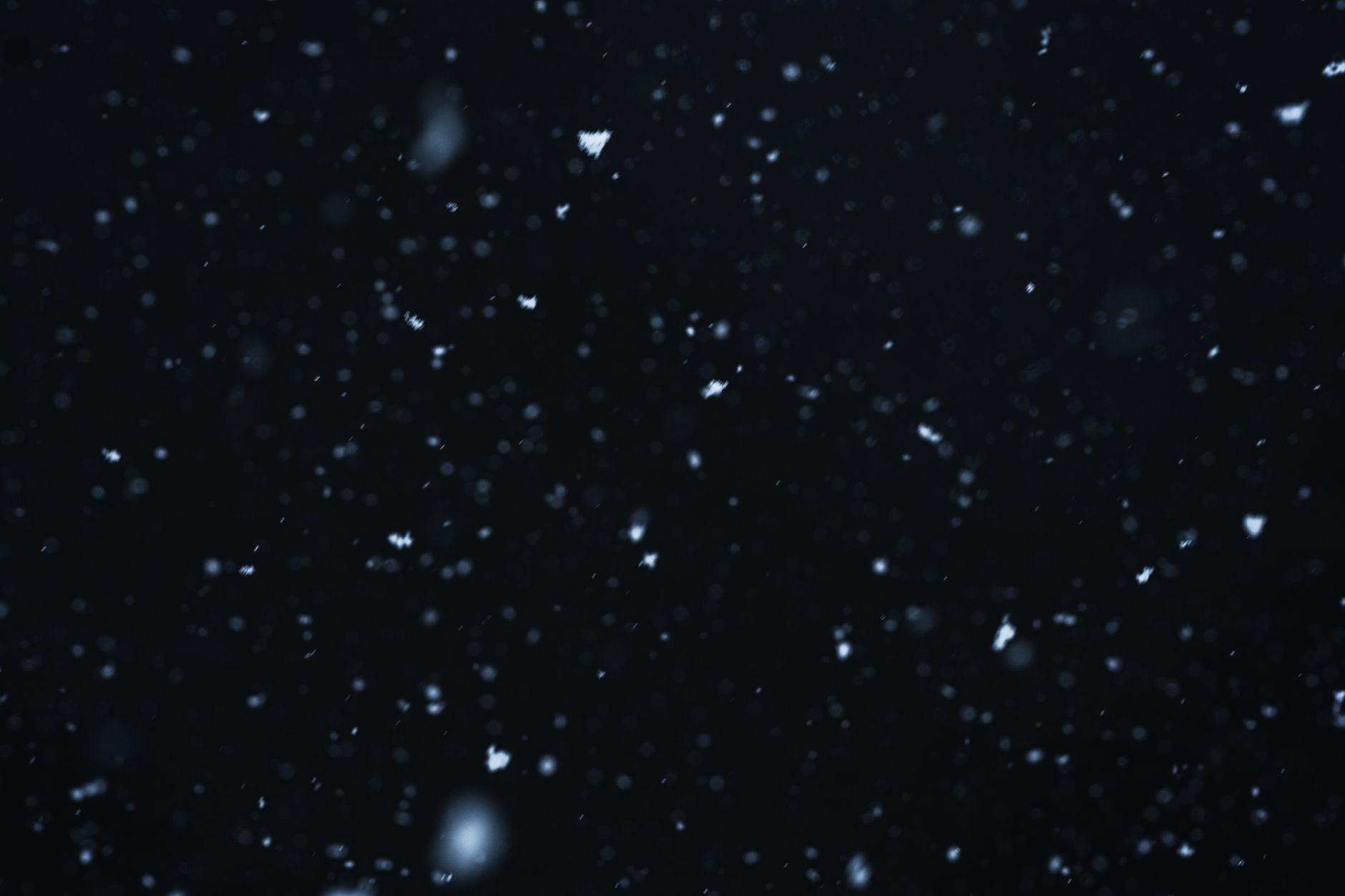 Snow falling dark background