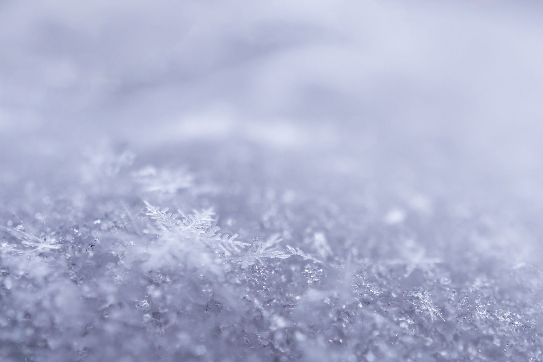 Snowflakes winter bokeh