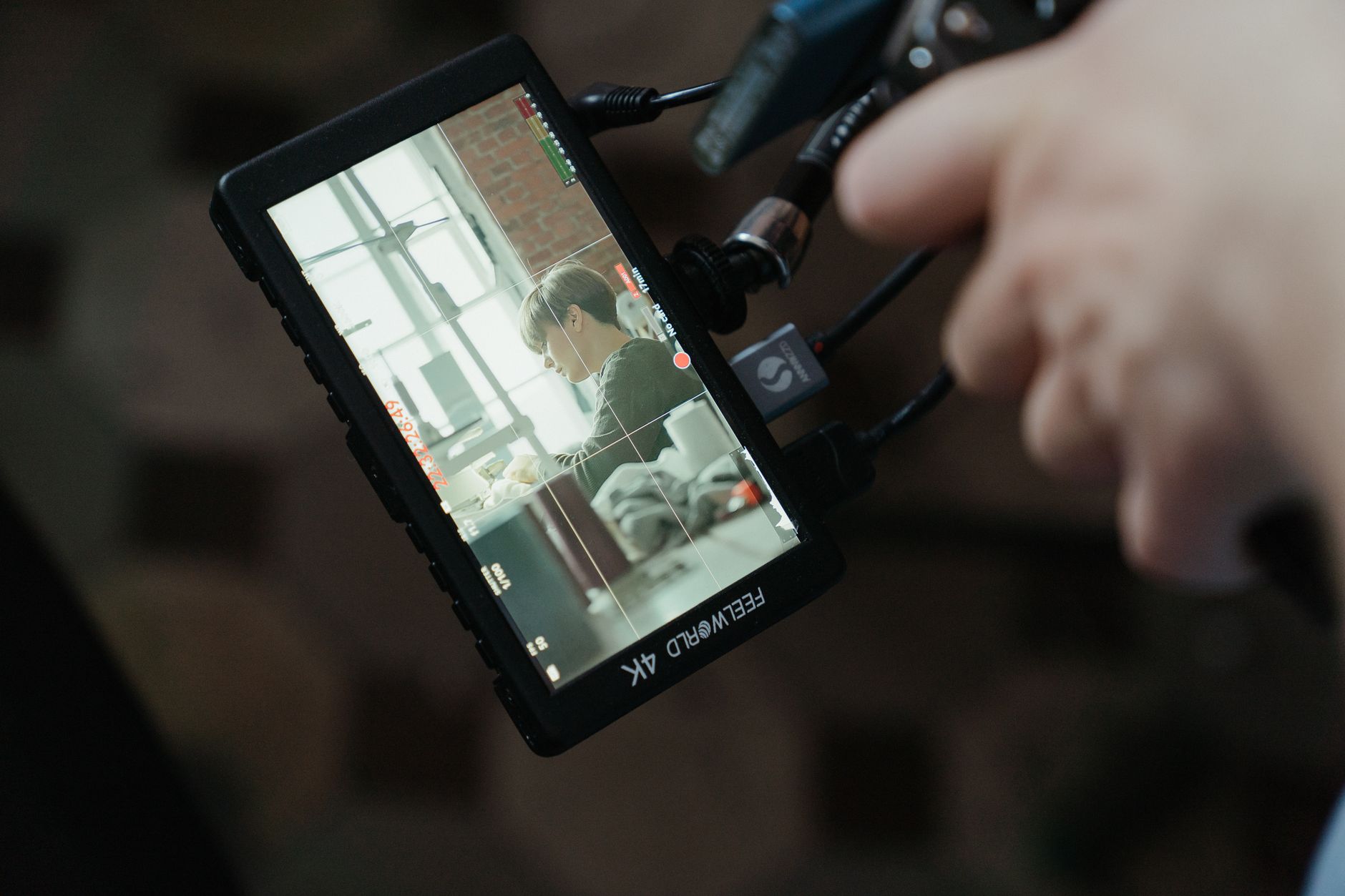 Video frame capture screen