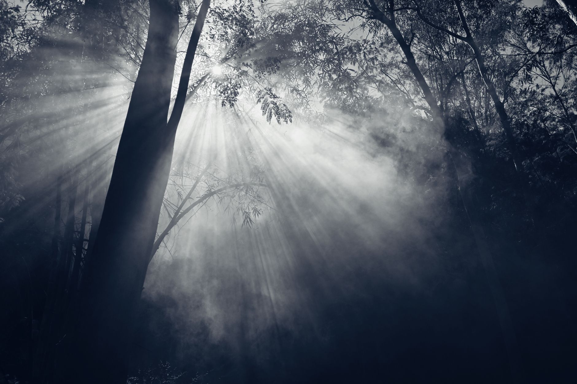 Volumetric light rays fog