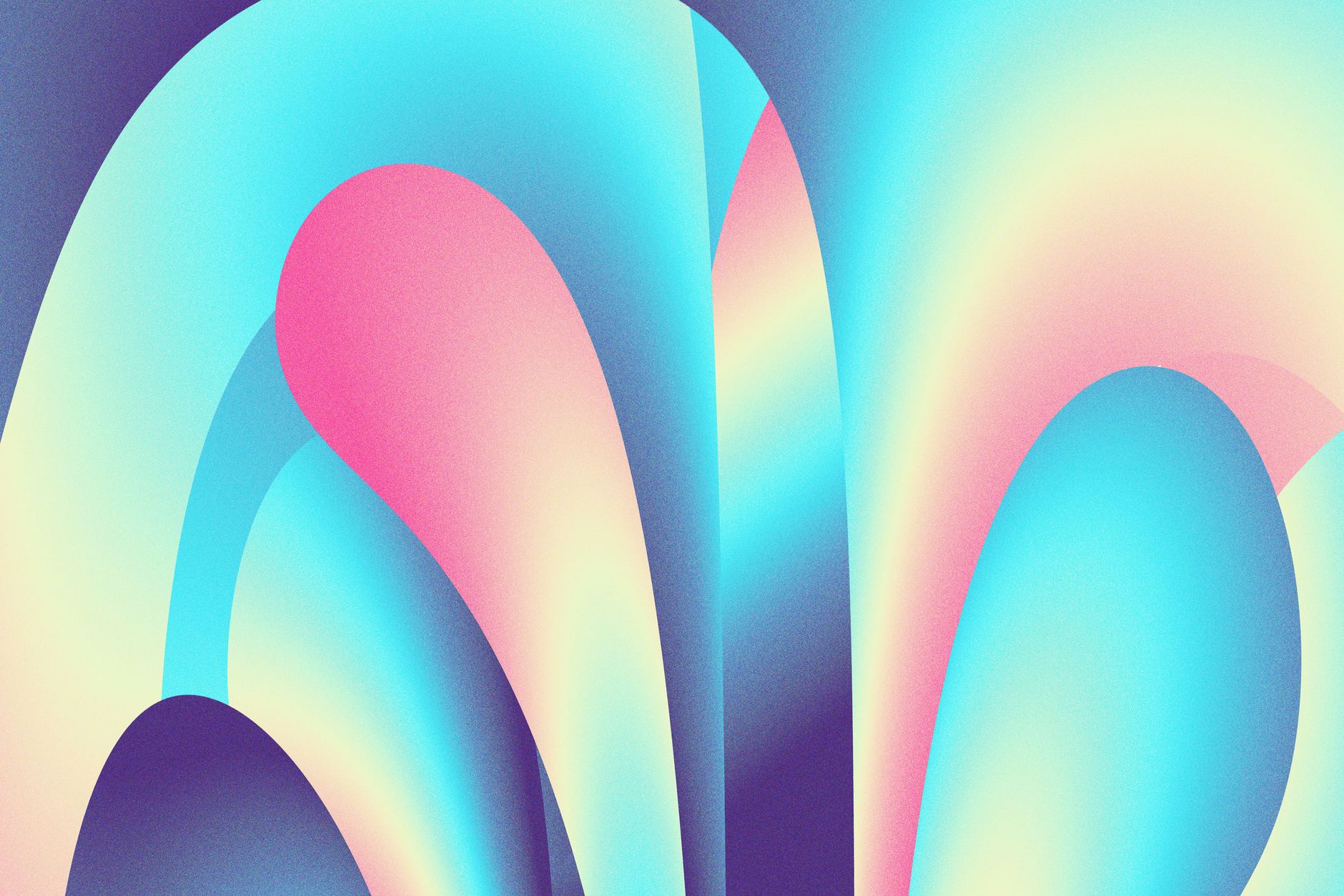 Web animation colorful