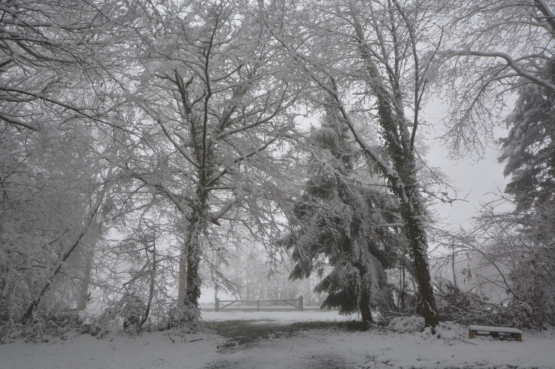 Winter snow atmosphere